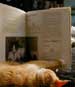 Jackie: The Literary cat.